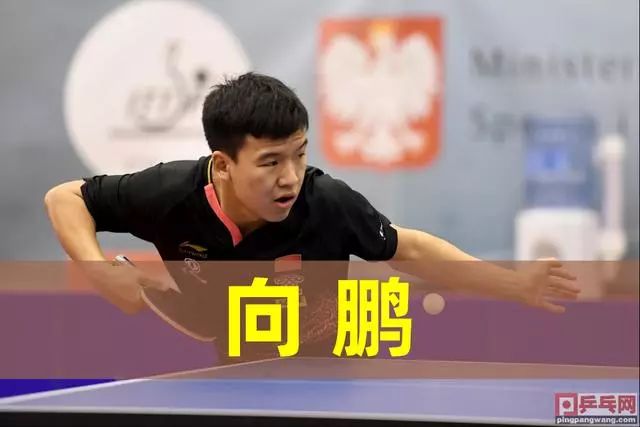 需要的不仅 需要的不仅